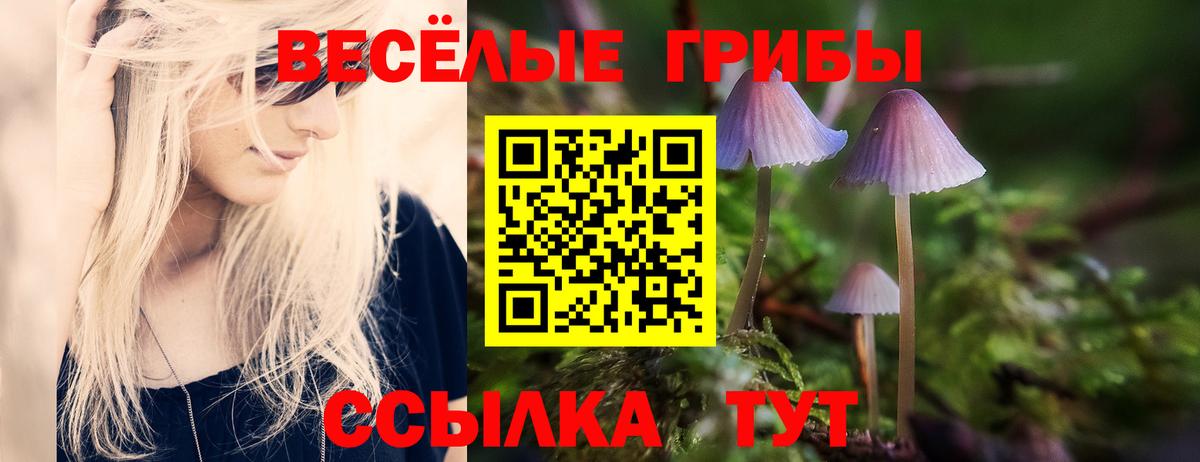 купить закладку  Вход с VPN  Вязники  Галлюциногенные грибы прущие грибы 